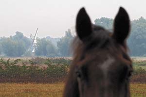 Update Polders Oosterland Lappenvoort