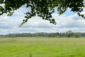 Een eigen stukje natuur: hoe particulieren hun landbouwgrond veranderen in  natuurland