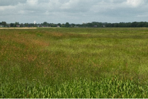 Archeologisch veldonderzoek in Polders Oosterland Lappenvoort