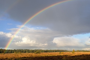 Rentmeester met een missie 